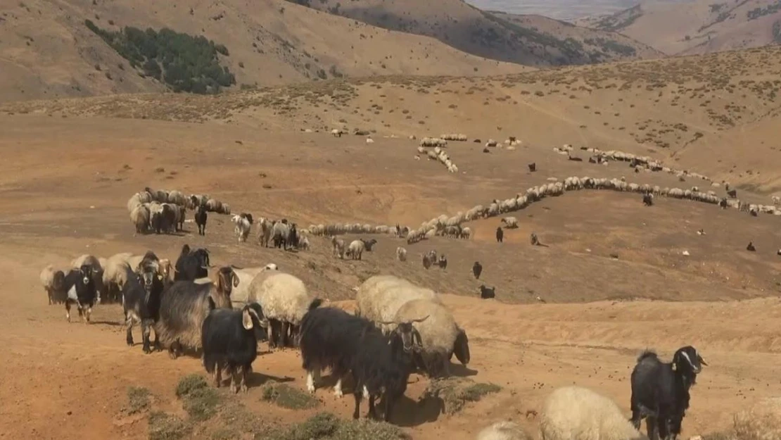 Yaylacılar büyük göç öncesi son hazırlıklarını tamamladı