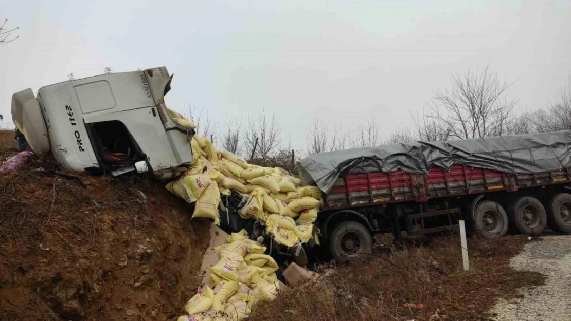 Yem yüklü tır yoldan çıktı: 2 yaralı