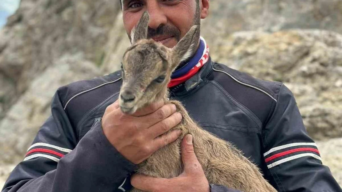 Yeni doğan yavru dağ keçisini gören motosiklet tutkunlarının heyecanı gülümsetti