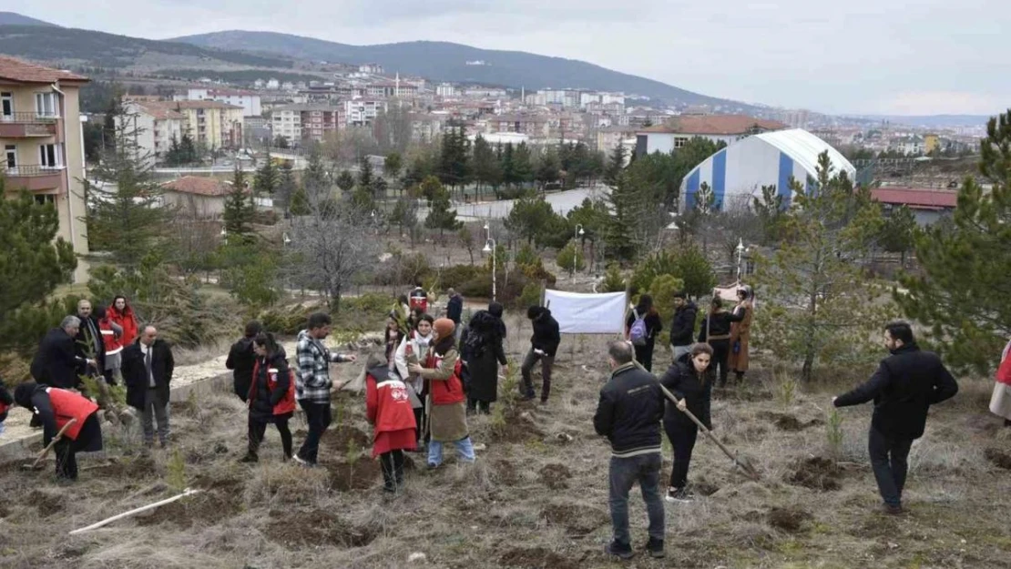 Yozgat'ta 300 fidan, depremde hayatını kaybeden kadınlar anısına toprakla buluştu