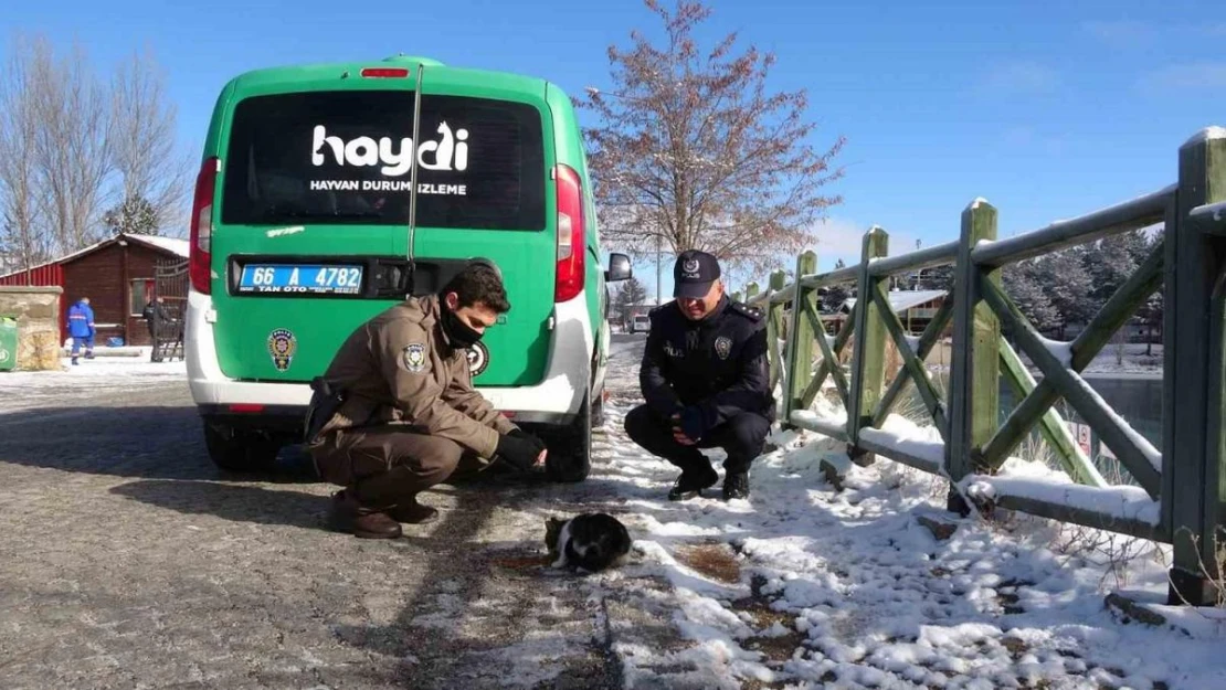 Yozgat'ta polis ekipleri sokak hayvanlarını unutmadı