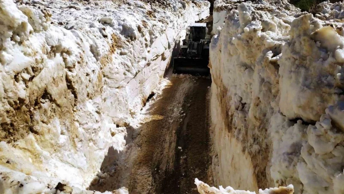 Yüksekova'da 5 metreyi bulan karda yol açma çalışması