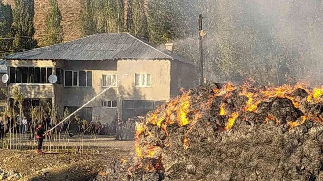 Yüksekova'da çıkan yangında 20 bin bağ ot yandı