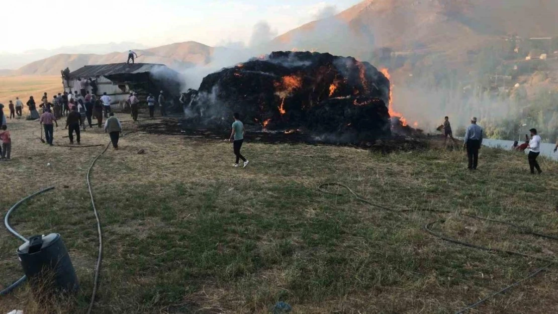 Yüksekova'da çıkan yangında 6 bin bağ ot yandı