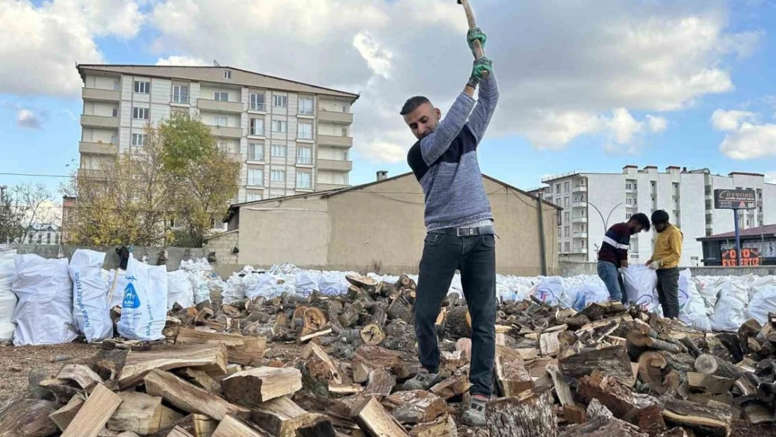 Yüksekova'da oduncuların kış hazırlığı sürüyor