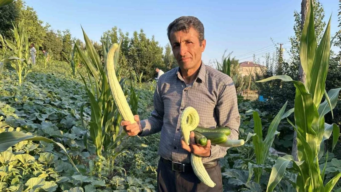 Yüksekova'da örnek çiftçi: A'dan Z'ye tüm ürünlere hayat verdi