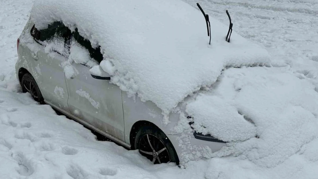 Yüksekova'da tek katlı evler ve araçlar kara gömüldü