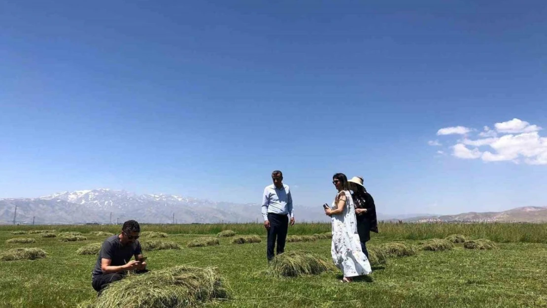 Yüksekova'da yağışlar çiftçilerin yüzünü güldürdü