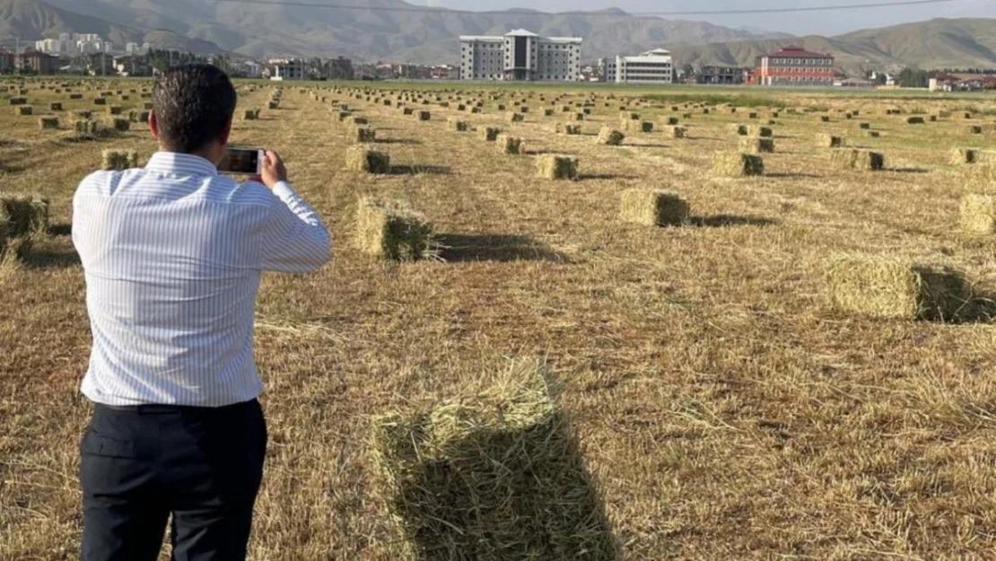 Yüksekova'da yağışlar tarımda verimliliği artırdı