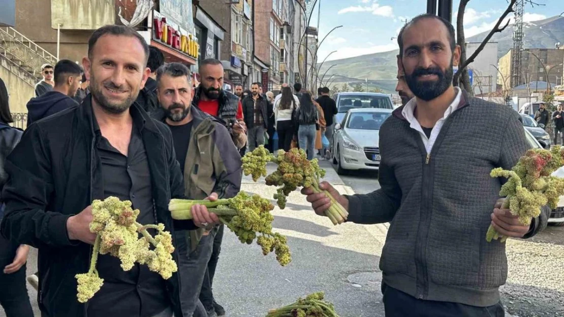 Yüksekova'da yayla muzunun destesi 100 TL'den satışa çıkarıldı