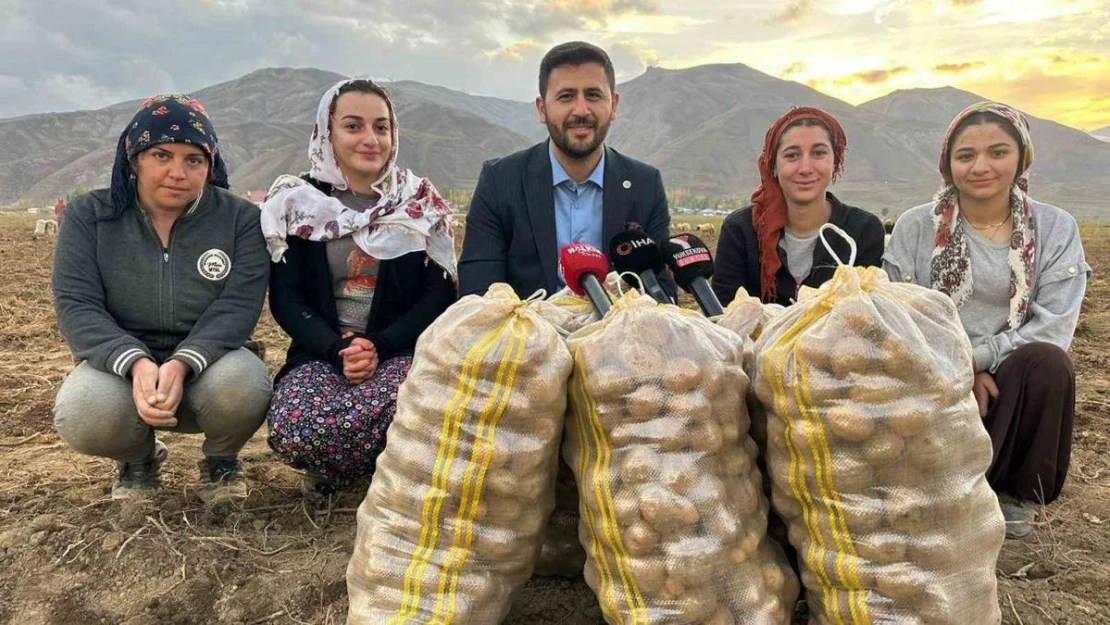 Yüksekova'nın toprağından bereket fışkırıyor: Ton ton patates elde edildi