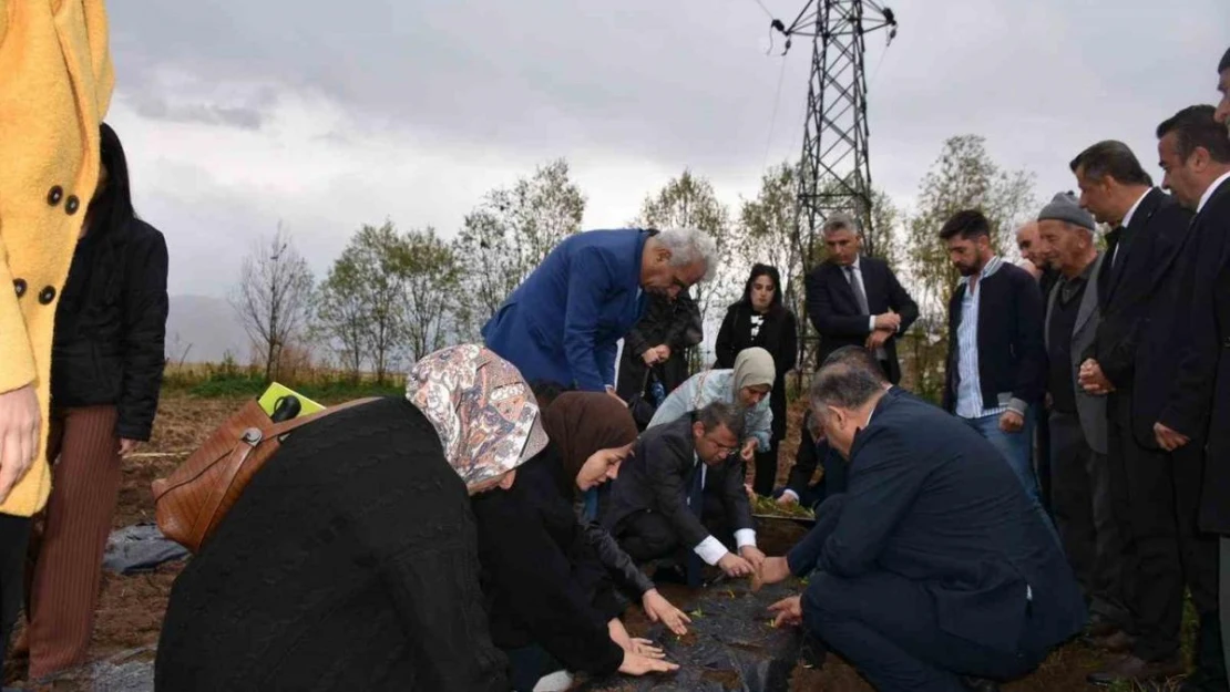 Yüksekovalı kadınlar tarım projeleriyle köylere hayat verecek