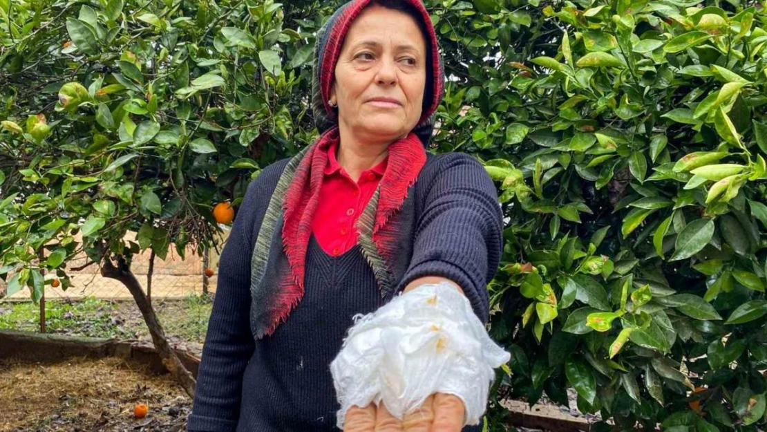 Yumurta toplamak için bahçeye giren kadın, dobermanın saldırısına uğradı