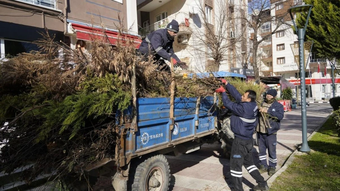 Yunusemre'de budanan ağaçlar ihtiyaç sahiplerinin evlerini ısıtıyor