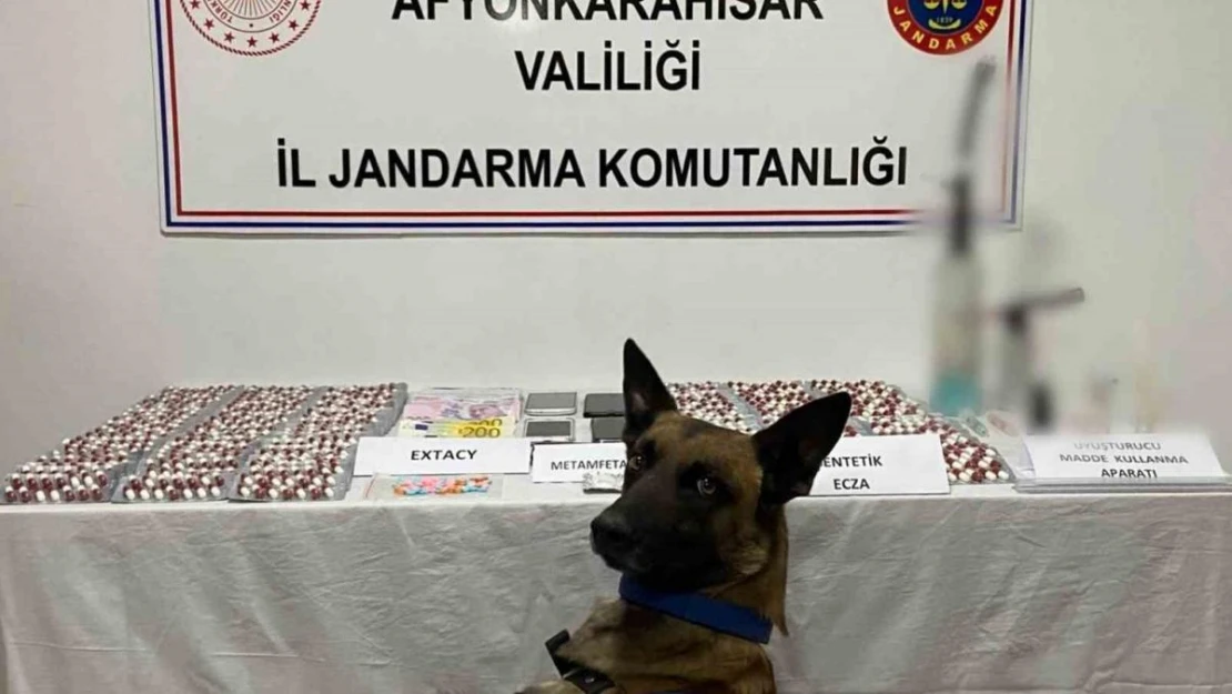 Zehir tacirlerini jandarma yakaladı