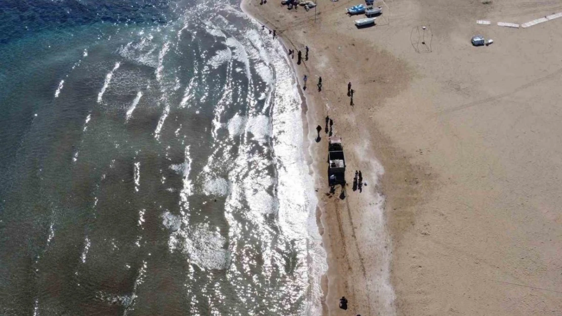 Zehirli sakın dokunmayın: Denizanaları sahilden toplanıyor