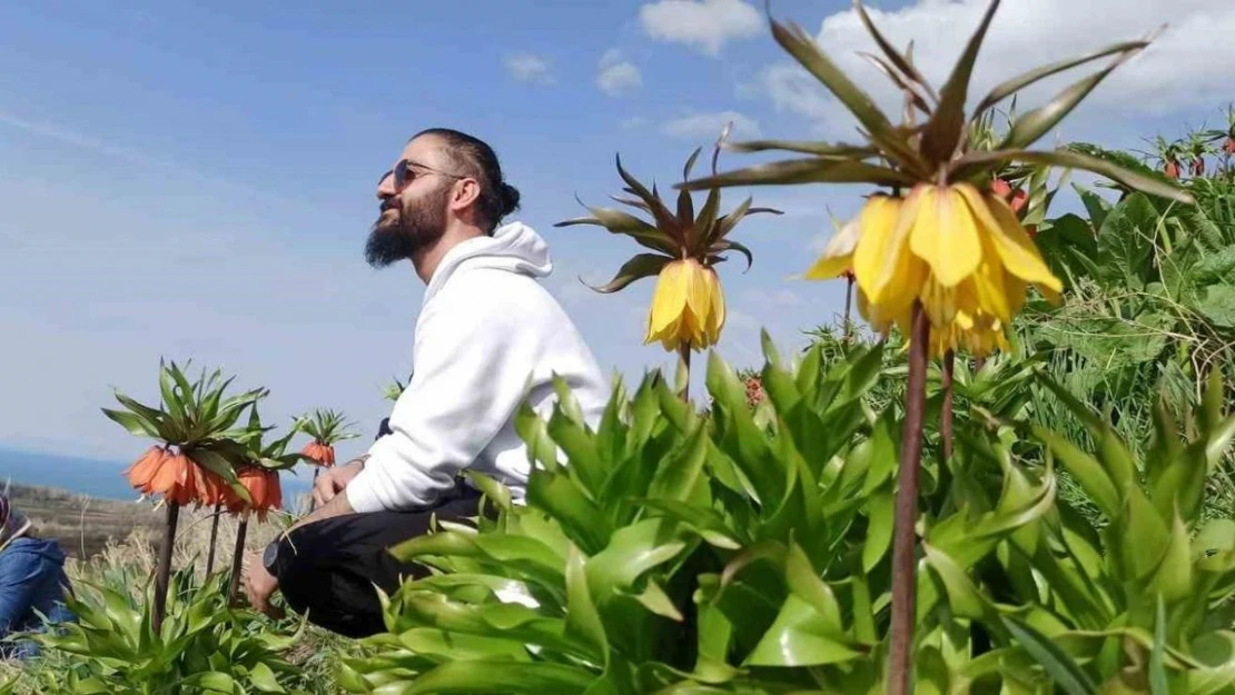 Zerrinkadeh çiçekleri ve terslaleler doğal fotoğraf stüdyosu oldu