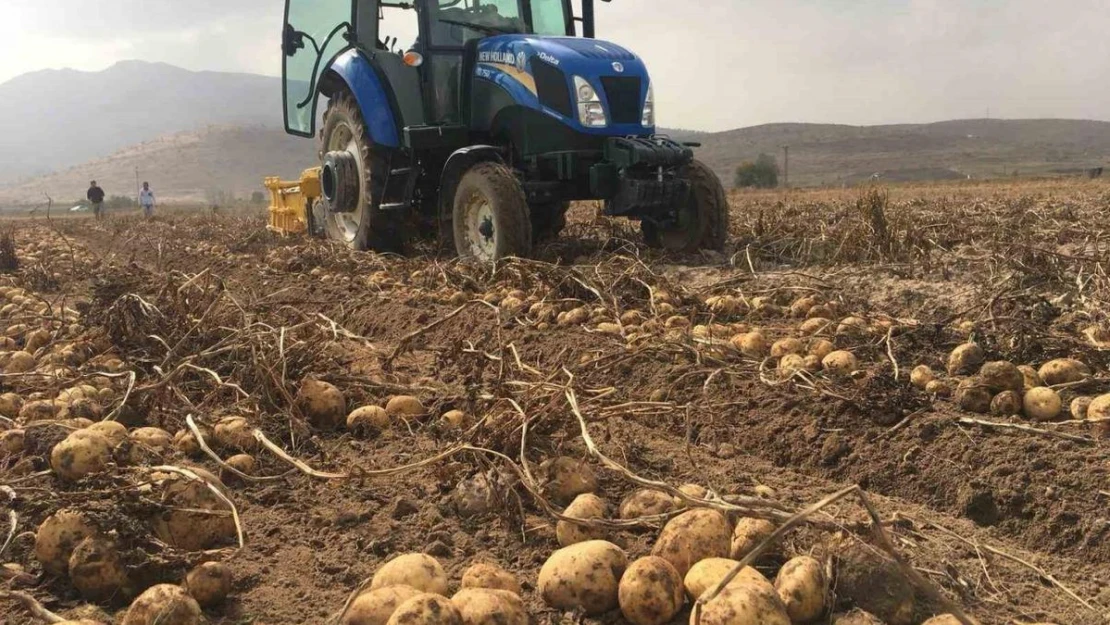 Ziraat Odası Başkanı Kenar: 'Patates fiyatlarında artış yok'