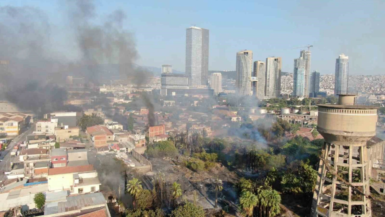 İzmir'deki yangın kontrol altına alındı