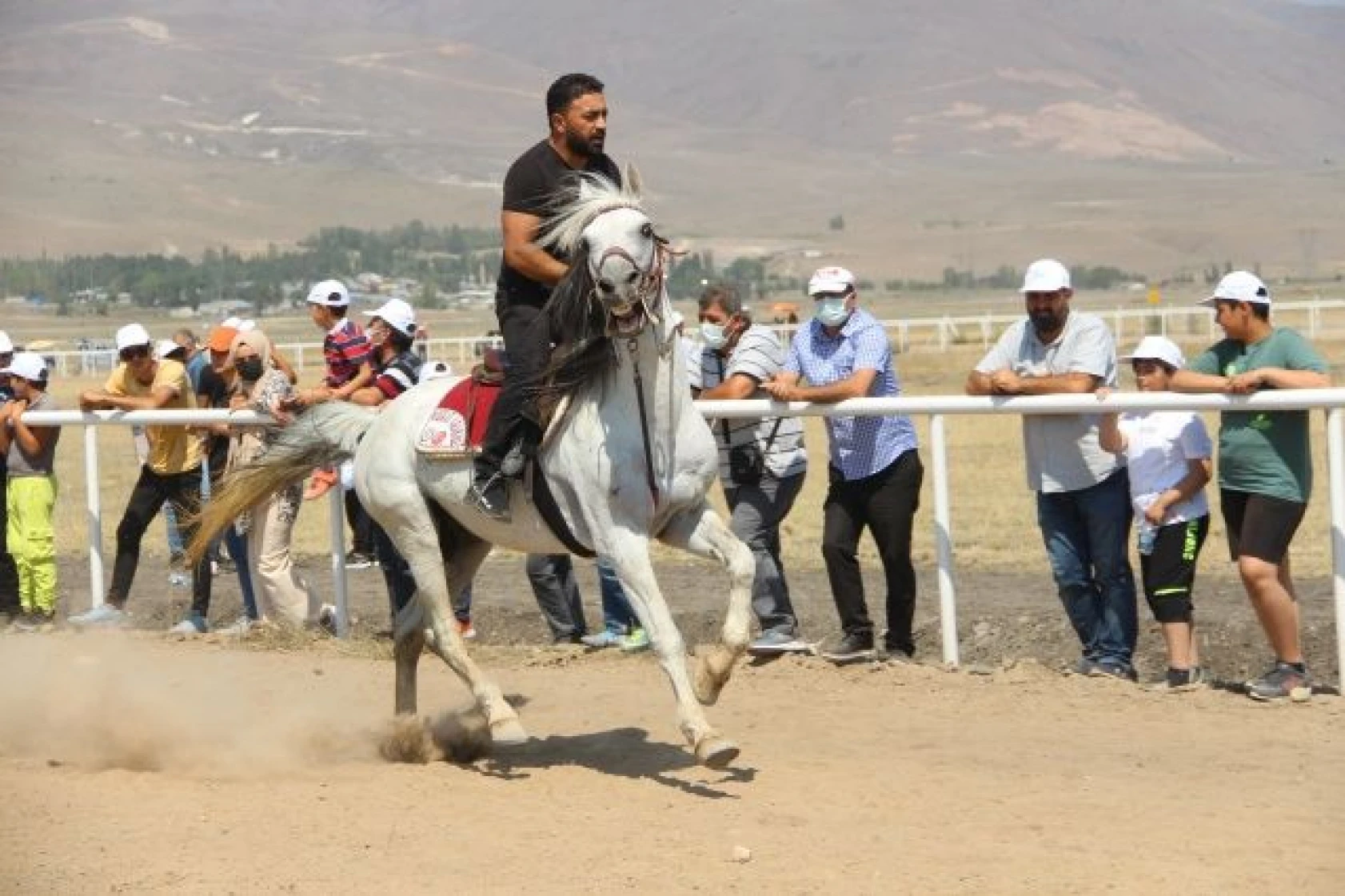Erzurum'da at yarışları nefes kesti