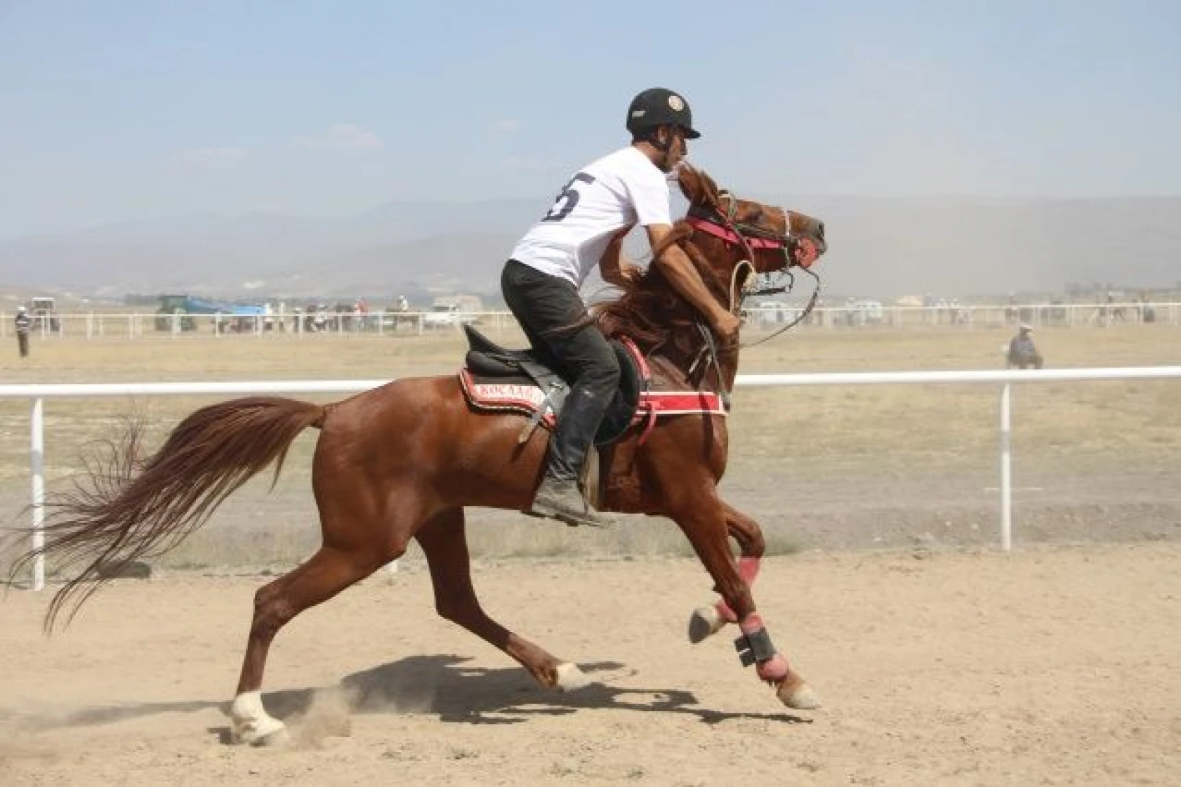 Erzurum'da at yarışları nefes kesti
