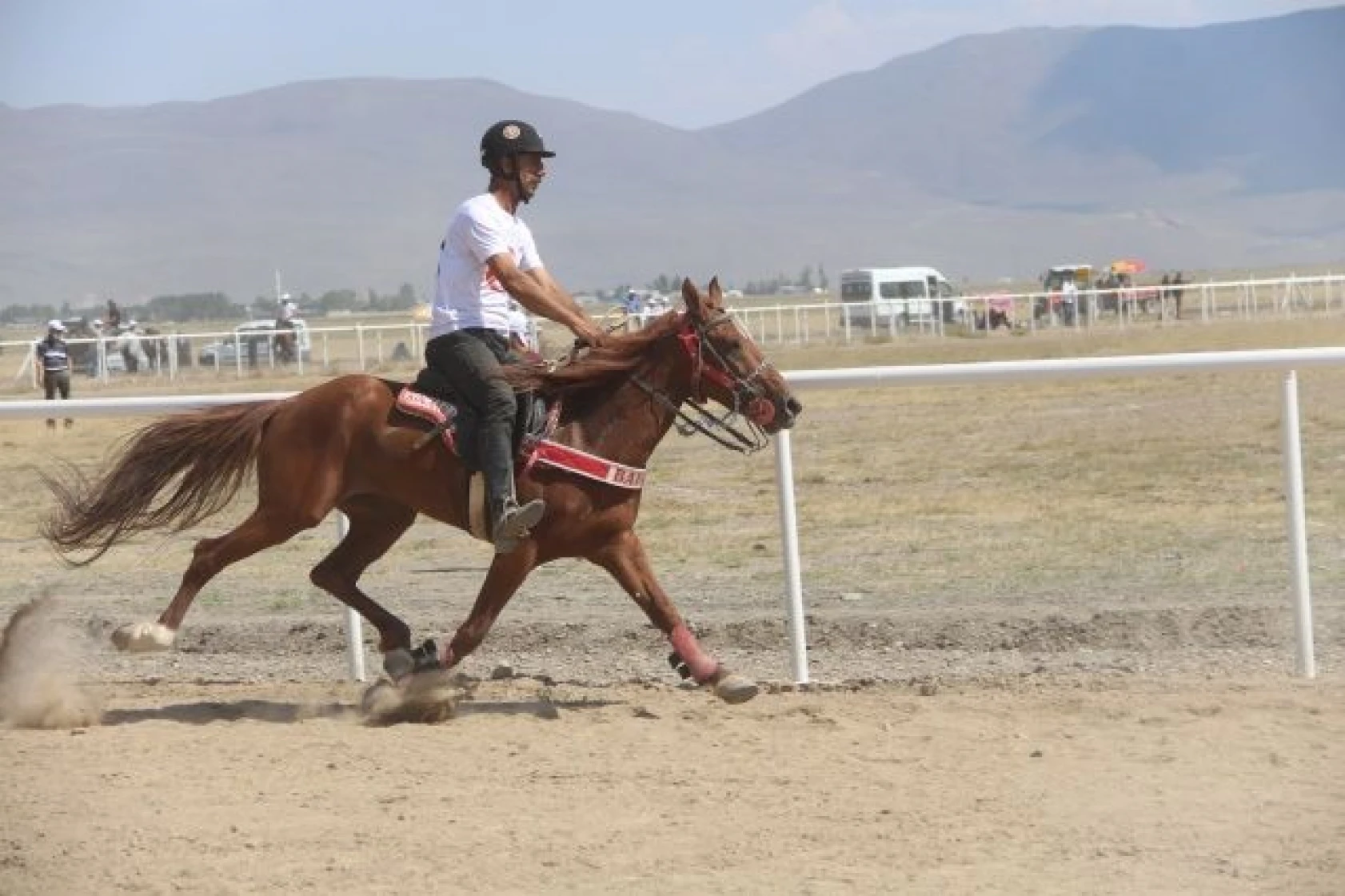 Erzurum'da at yarışları nefes kesti