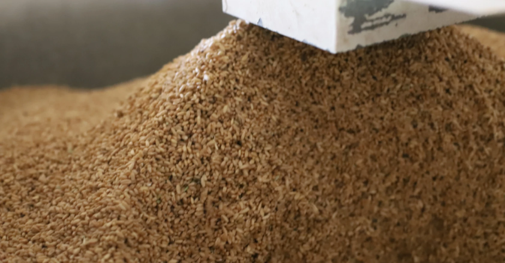 Ermenilerden kalan asırlık değirmen