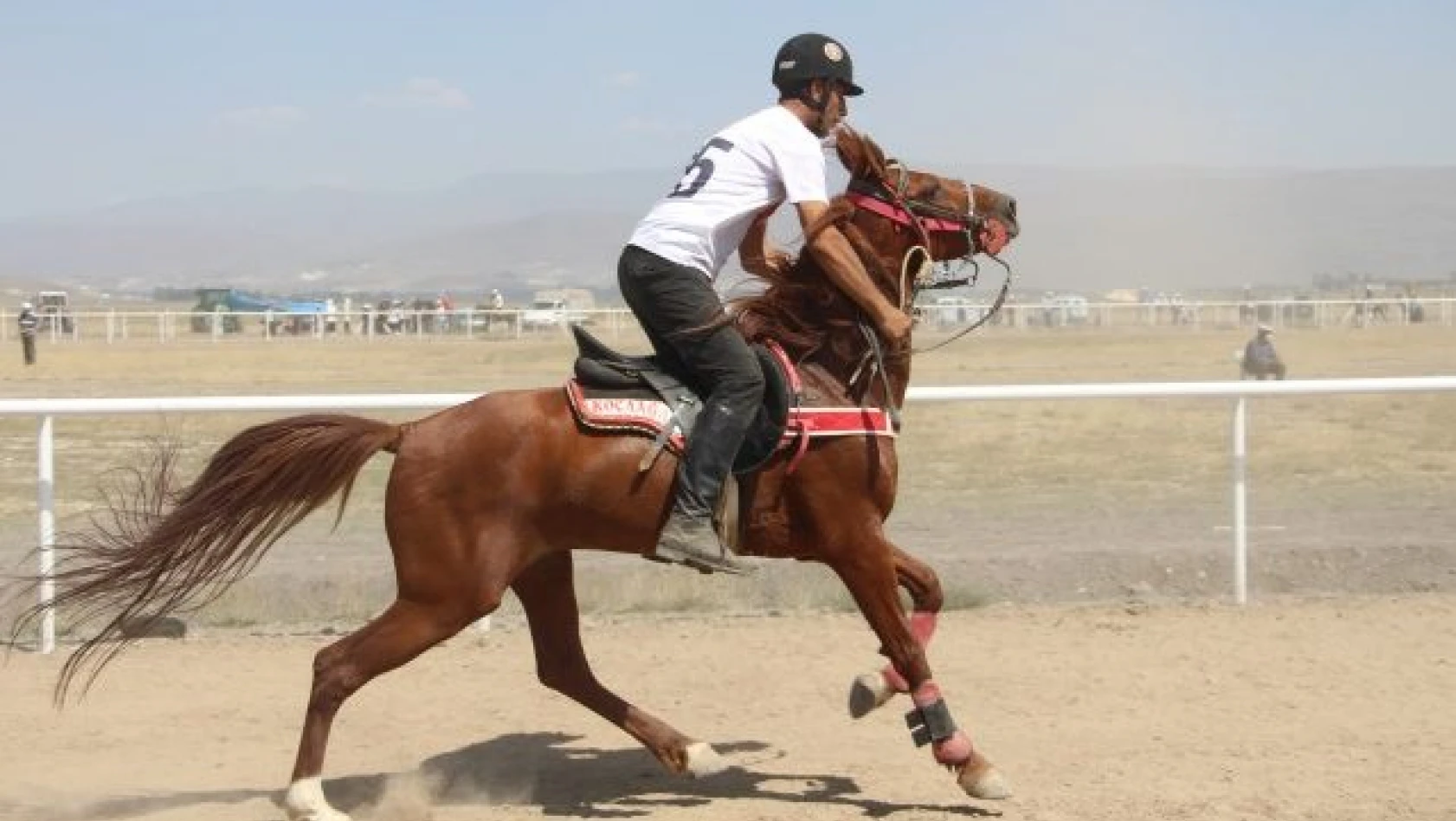 Erzurum'da at yarışları nefes kesti