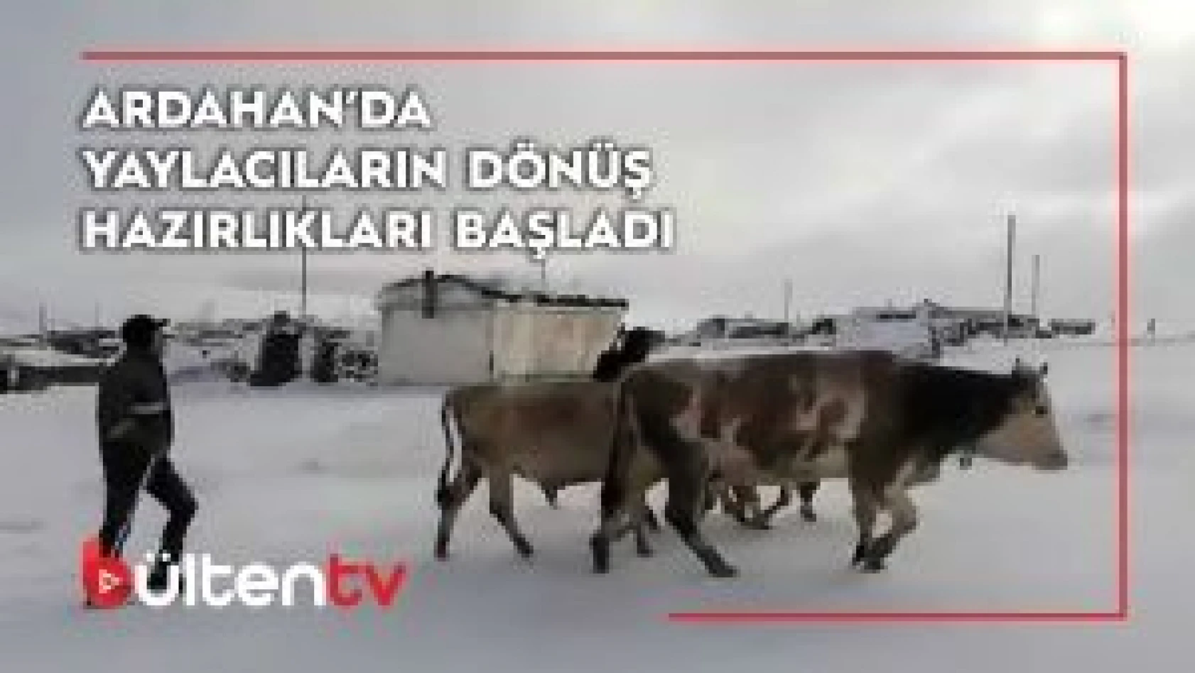 Ardahan'da havaların aniden soğuması nedeniyle, yaylacılar köylere inmek zorunda kaldı