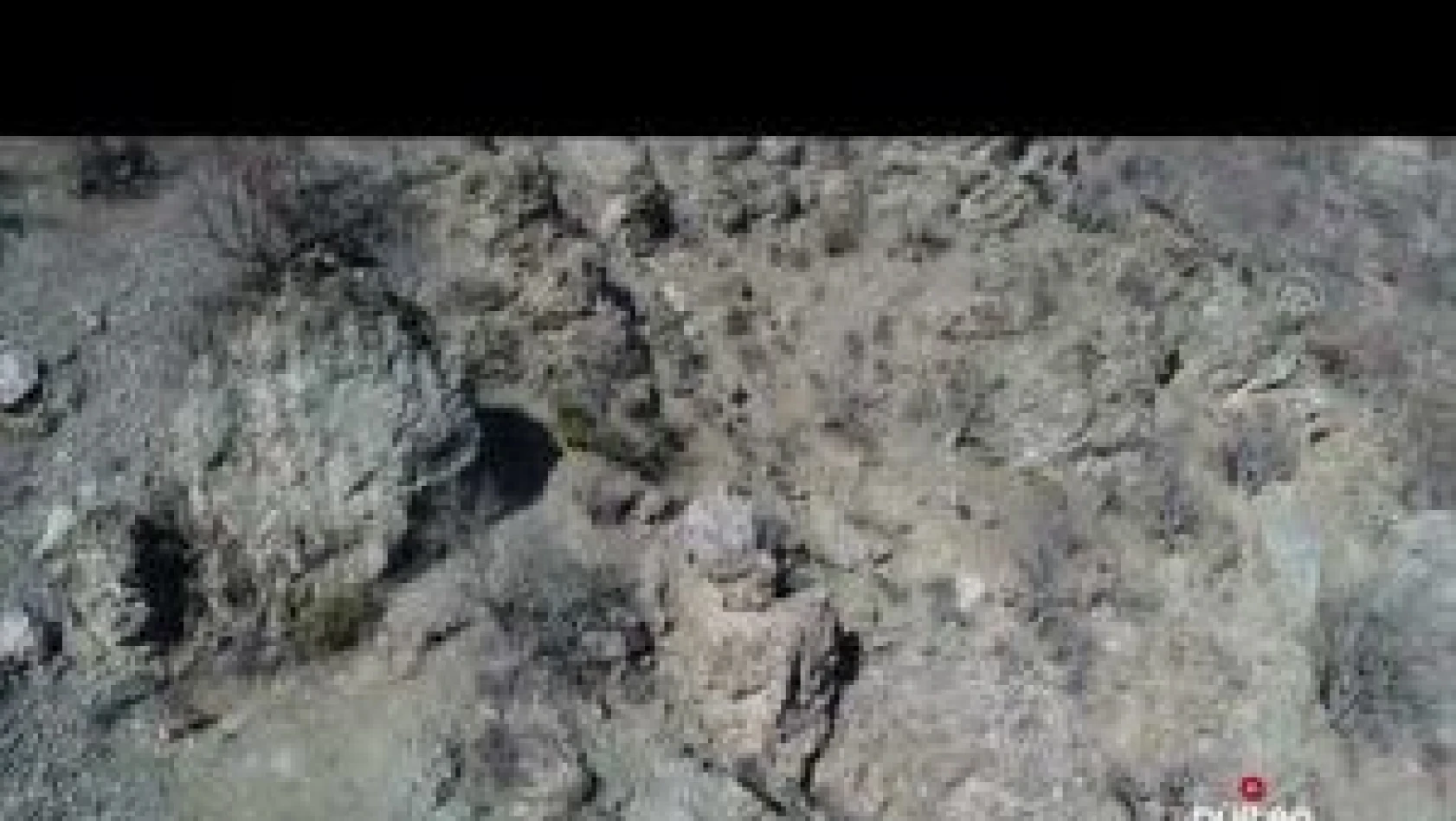 Elazığ'da dağ keçileri drone ile görüntülendi