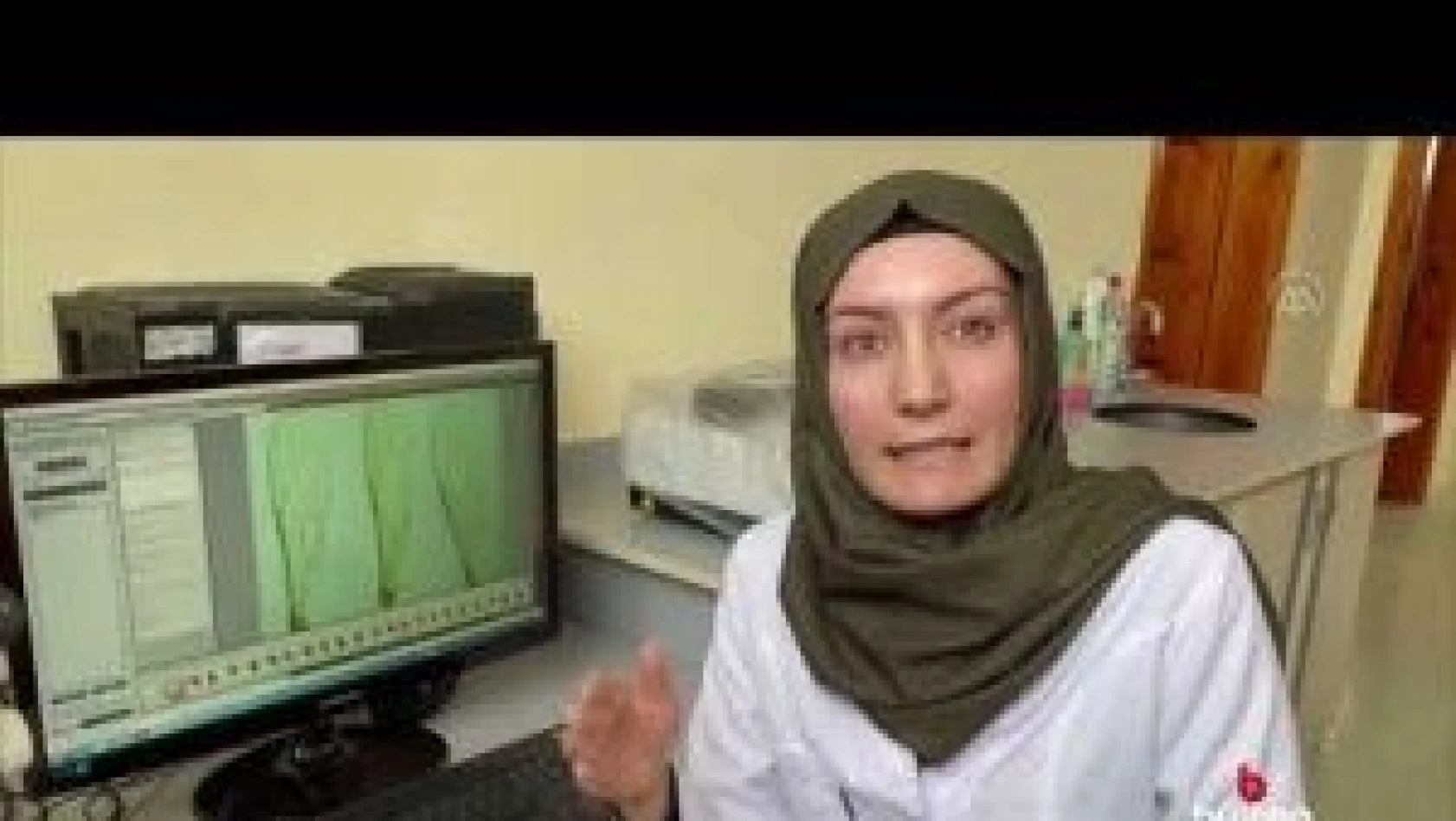 Kafkas arısının ayrıntılı gen haritası &quotana vatanında" çıkarılıyor