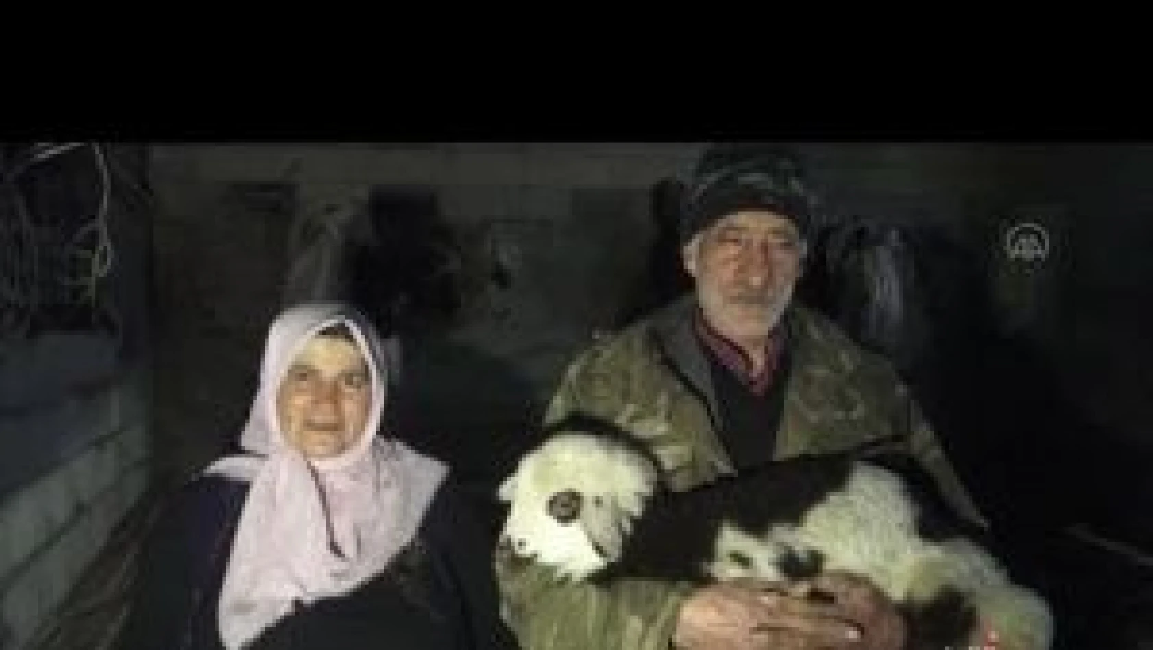 Kars'ta zorlu kışın ardından doğan oğlak ve kuzular besicileri sevindirdi