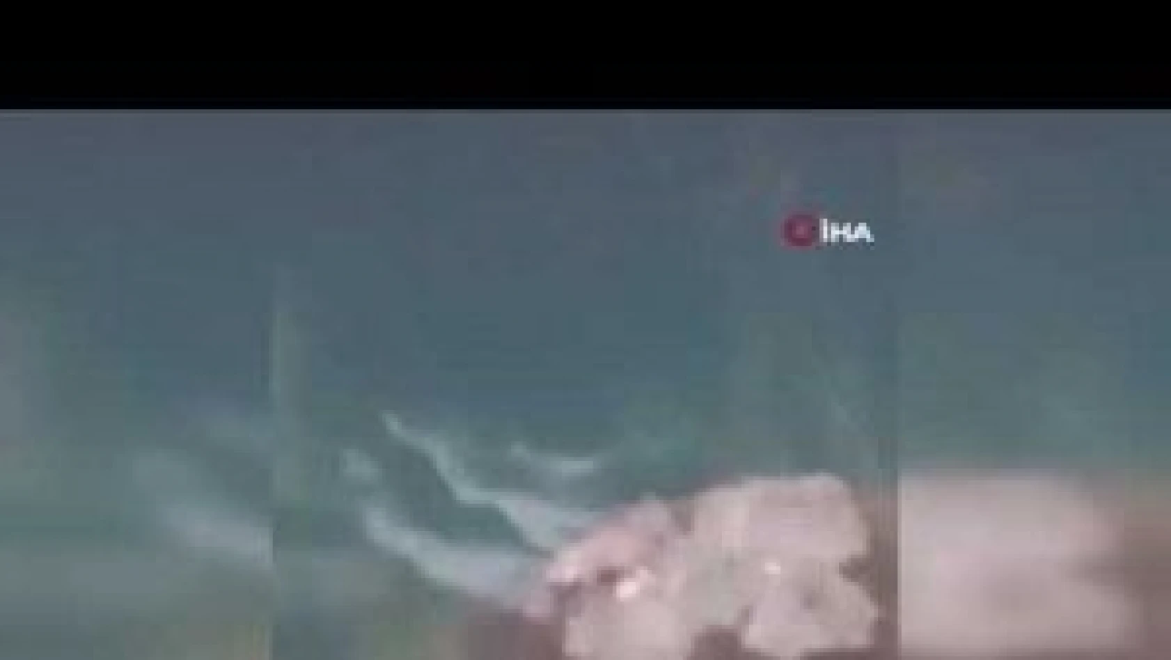 Tunceli'de koruma altında bulunan su samuru görüntülendi