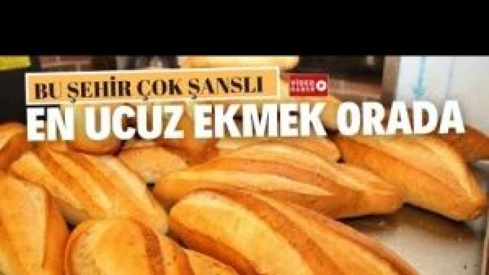 Türkiye'nin en ucuz ekmeğini Van yiyor