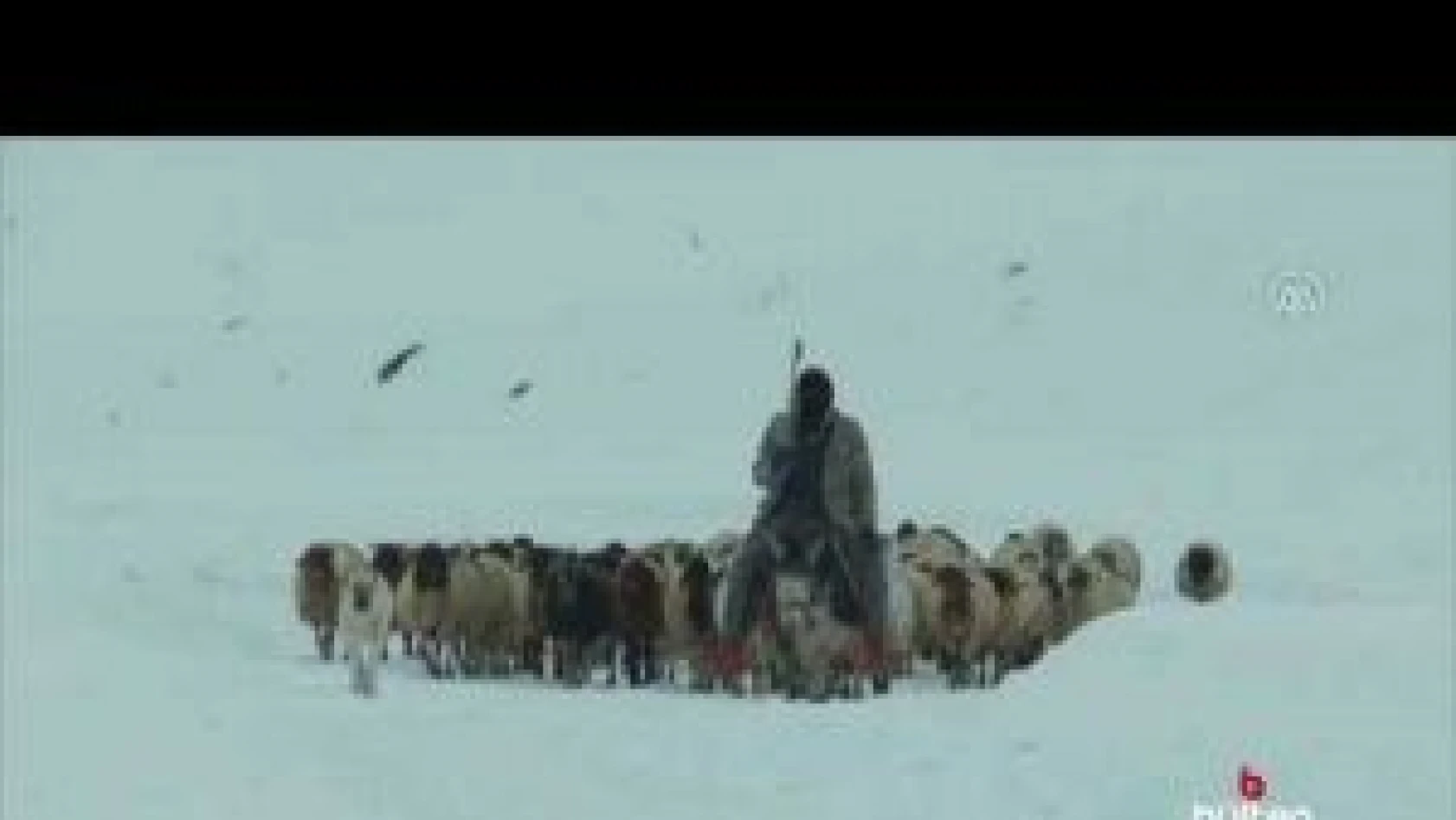 Besiciler kışın çetin şartlarında hayvanlarının bakımını sürdürüyor