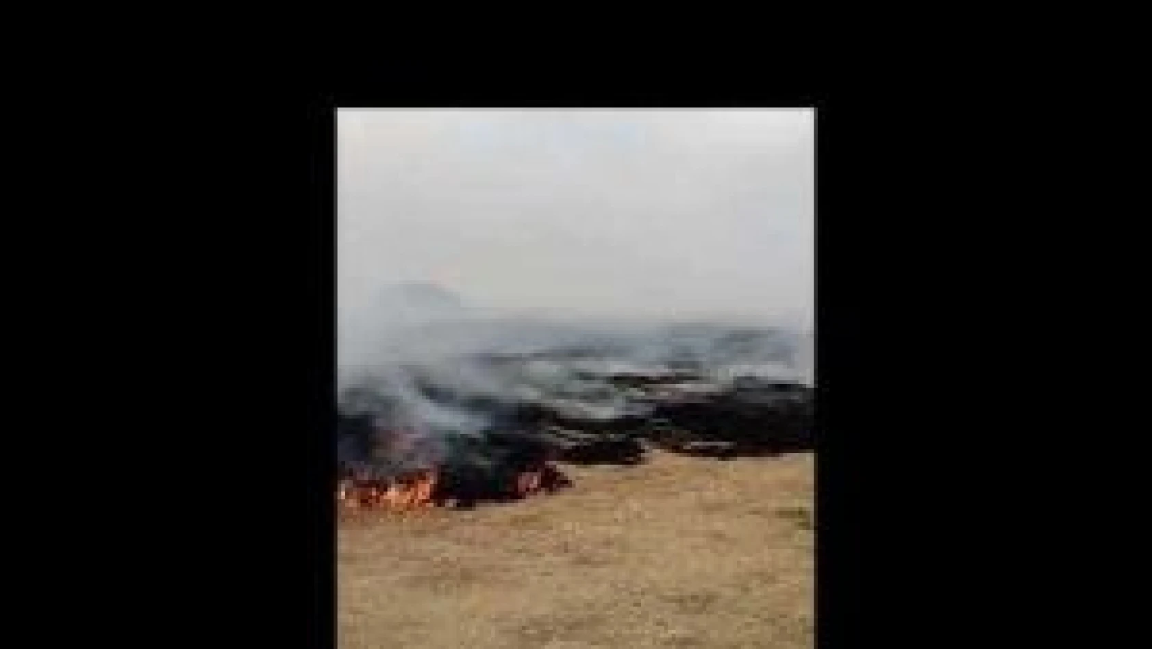 Van Gölü Adır Adası'nda yangın devam ediyor