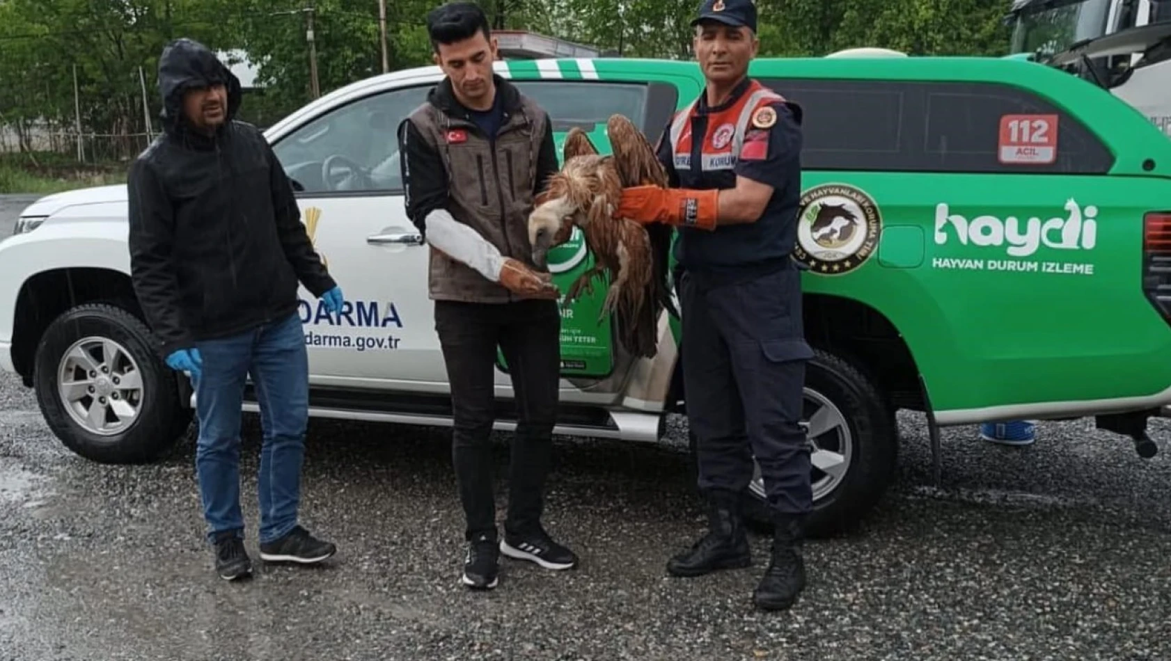Iğdır'da yaralı halde bulunan kızıl akbaba tedavi altına alındı
