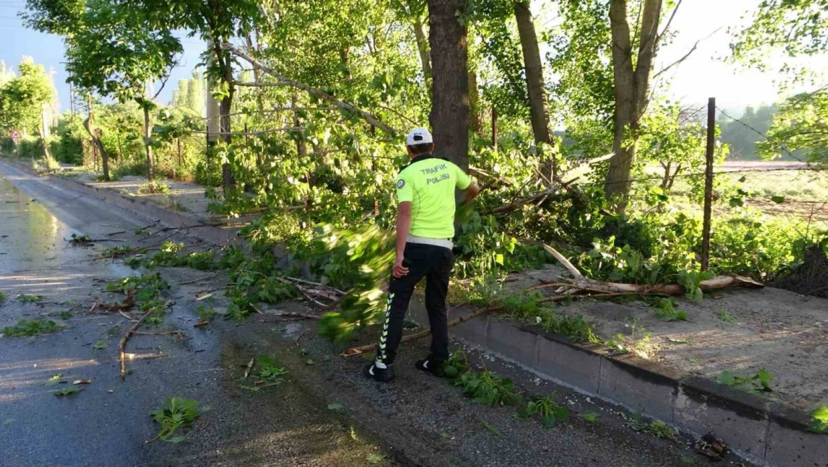 Malatya'da 15 dakikalık fırtına ağaçları devirdi