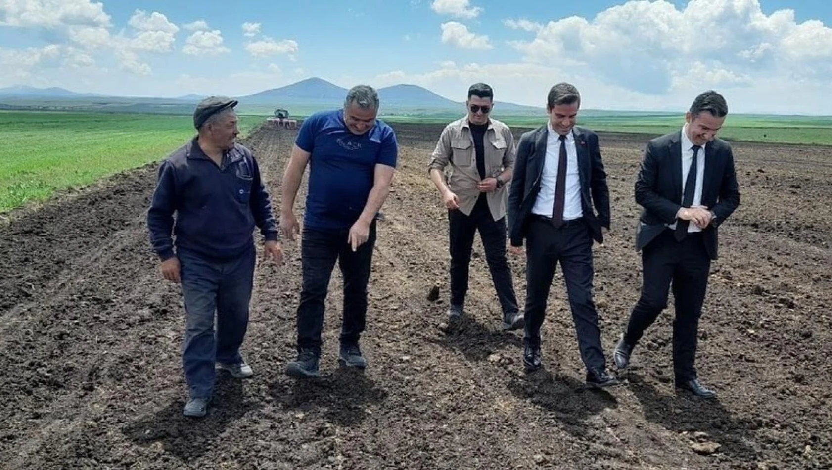 Kars Selim'de ayçiçeği mesaisi başladı