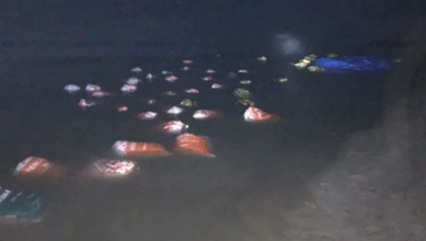 Van'da 3 ton kaçak avlanmış balık ele geçirildi