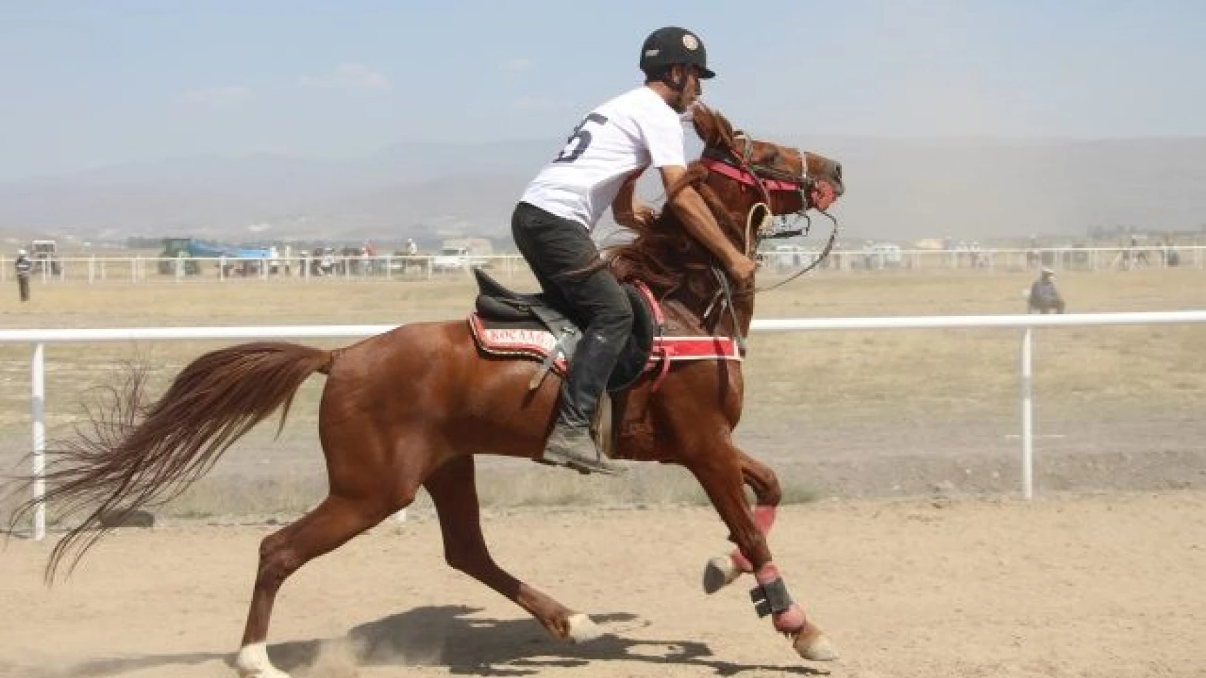 Erzurum'da at yarışları nefes kesti