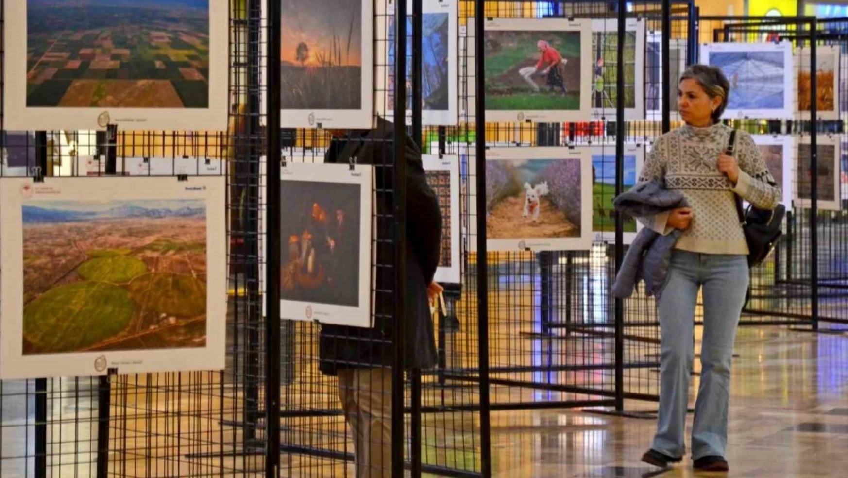 '14. Uluslararası Tarım, Orman ve İnsan Fotoğraf Yarışması'na başvurular başladı