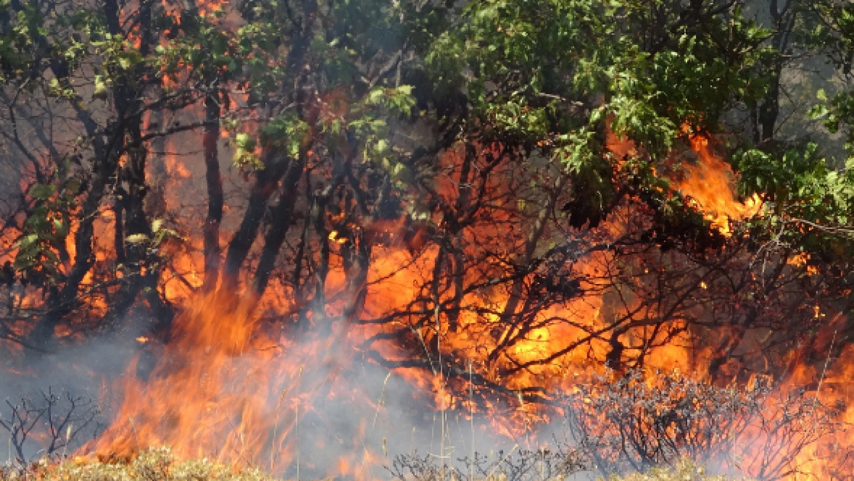 Bingöl'deki yangın yerleşim yerlerini tehdit ediyor