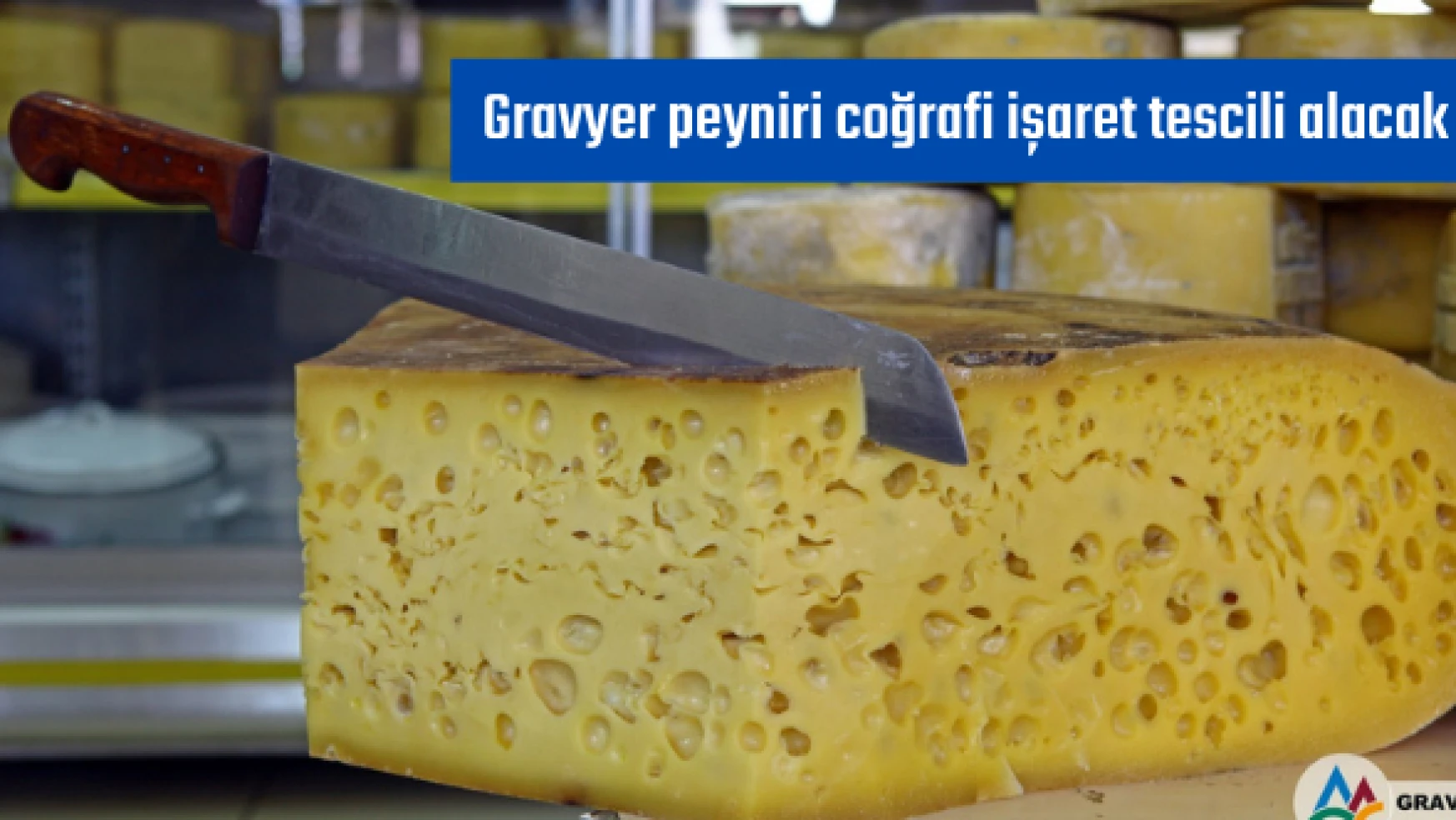 Gravyer peyniri coğrafi işaret tescili alacak