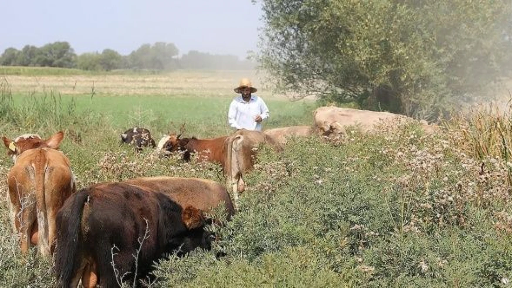 Iğdır'da 'Genç Çiftçi Projesi' ile köye dönüşler başladı