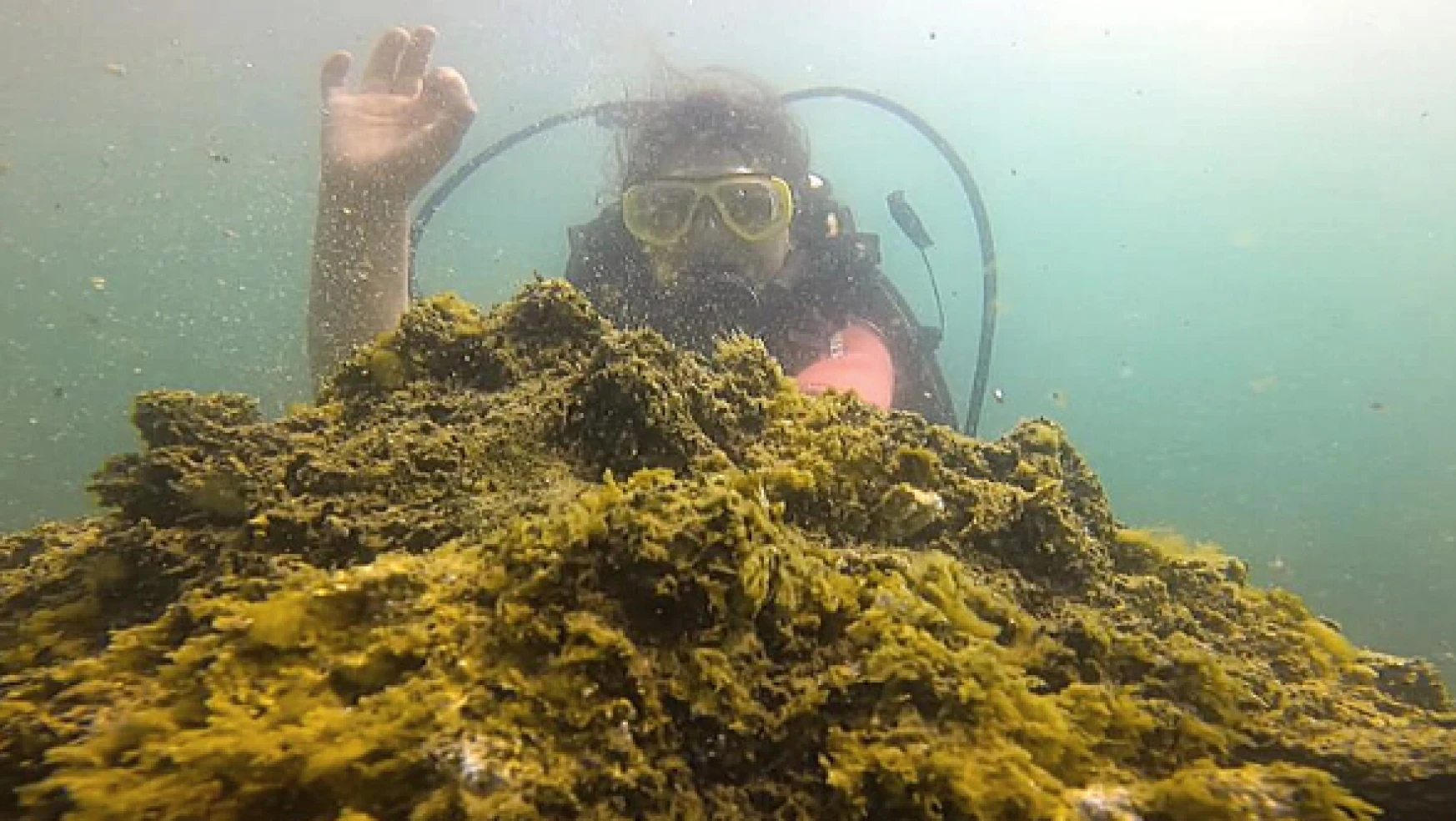 Van Gölü'nde mikrobiyalit keşfi  için dalışlar başladı
