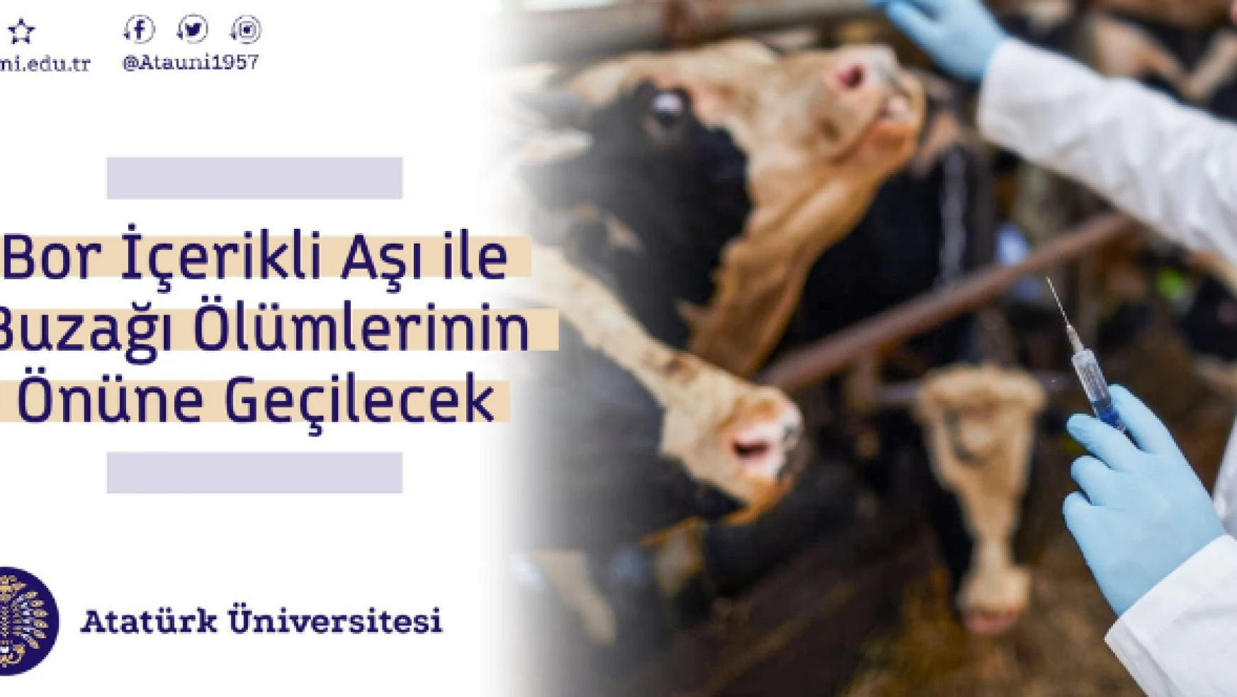 Atatürk Üniversitesi, aşı projesi ile TÜBİTAK'tan destek aldı