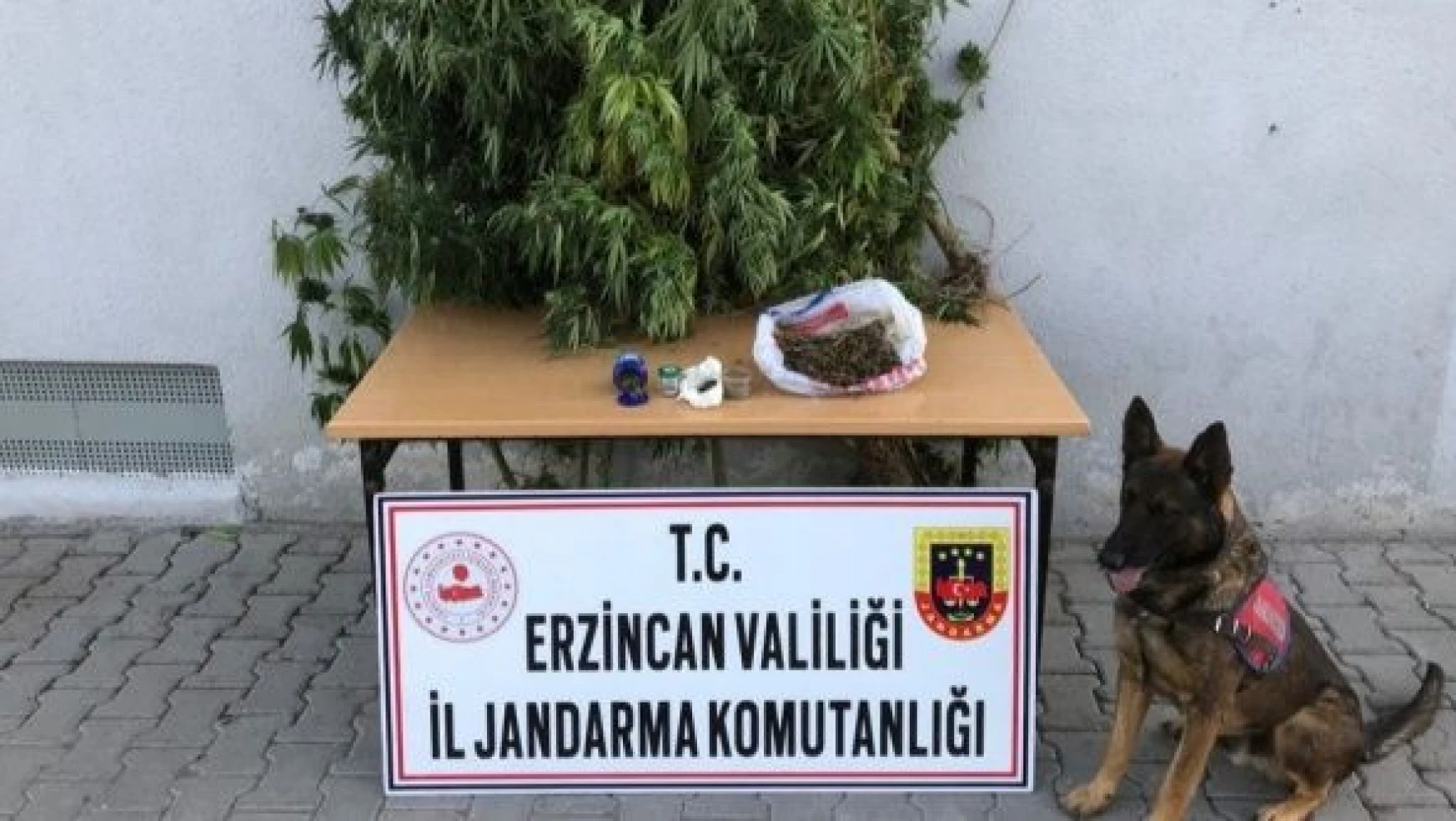 Erzincan'da uyuşturucu ve kaçak sigara yapımında kullanılan malzemeler ele geçirildi