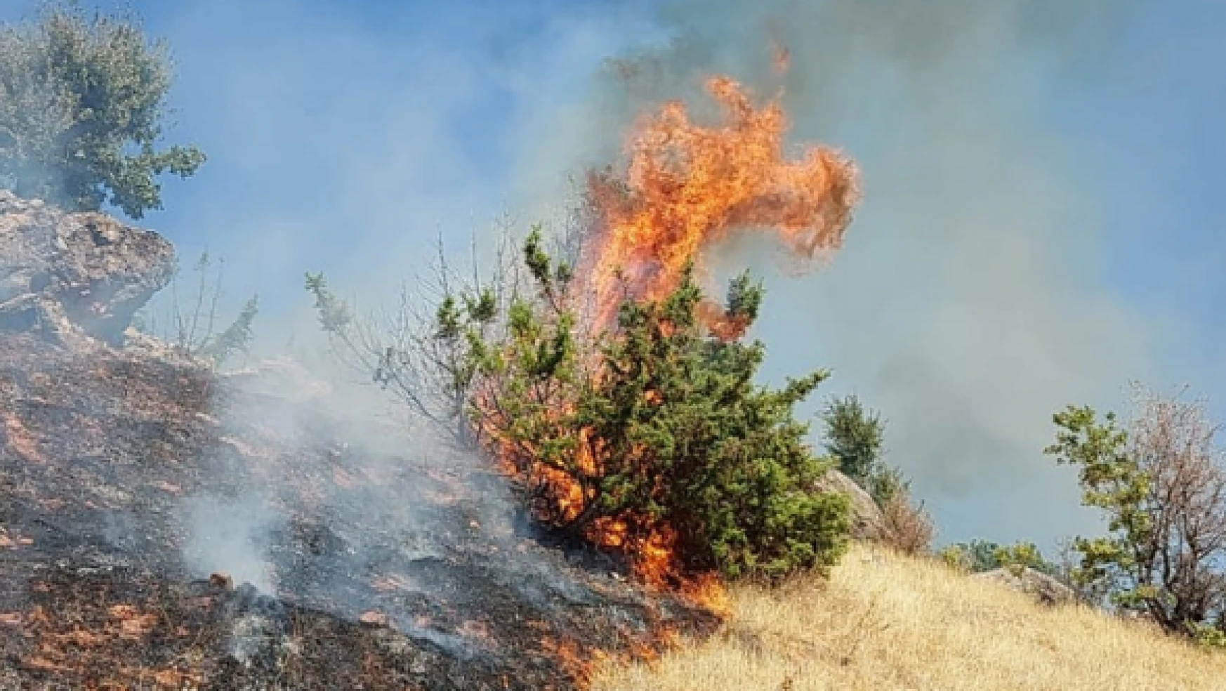 Tunceli'de orman yangını kontrol altına alındı
