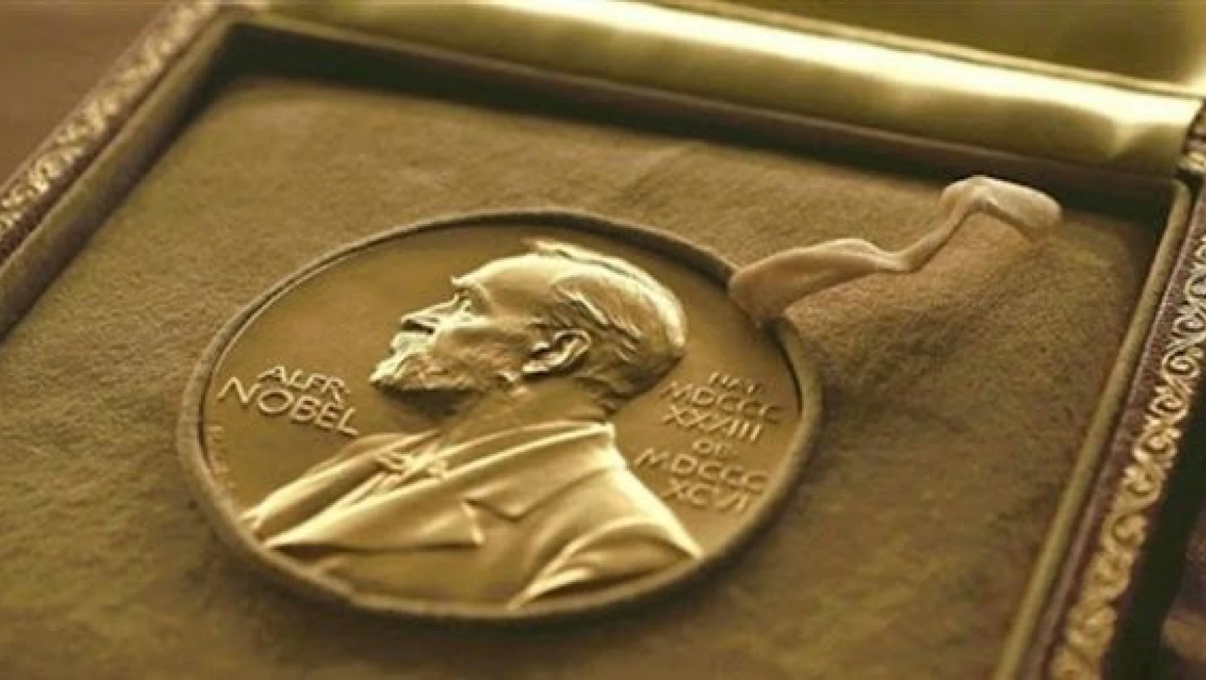 2021 Nobel Tıp Ödülü sahiplerini buldu